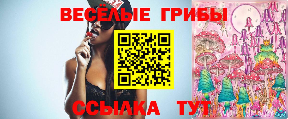 Псилоцибиновые грибы ЛСД Татарск