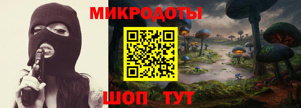Татарск  Псилоцибиновые грибы Cubensis  Вход с VPN 